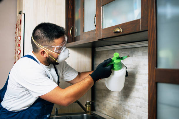Best Rat Extermination Near Me  in Driggs, ID