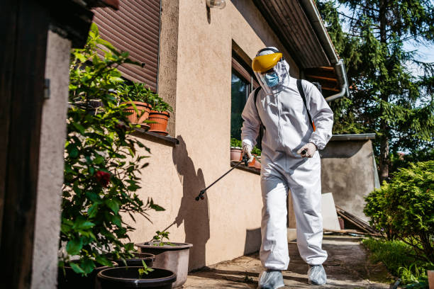 Best Emergency Pest Control  in Driggs, ID