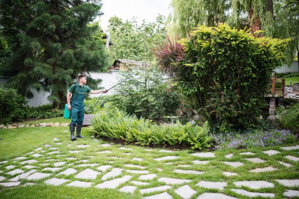 Best Best Pest Control Companies  in Driggs, ID