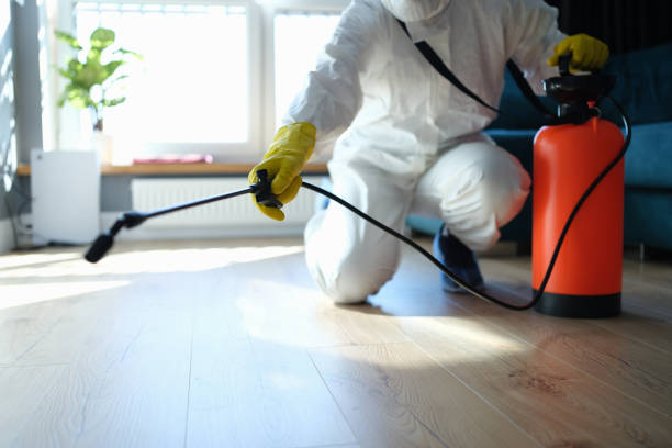 Best Insect Control  in Driggs, ID