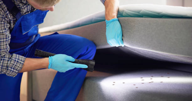 Best Mosquito Control Services  in Driggs, ID