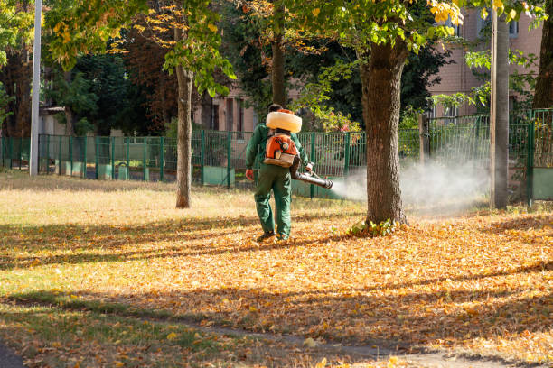 Best Mosquito Control Services  in Driggs, ID