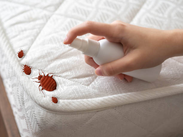 Best Pest Control Near Me in Driggs, ID