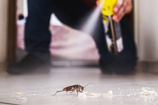 Best Ant Control Services  in Driggs, ID